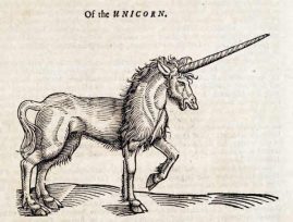 Oftheunicorn